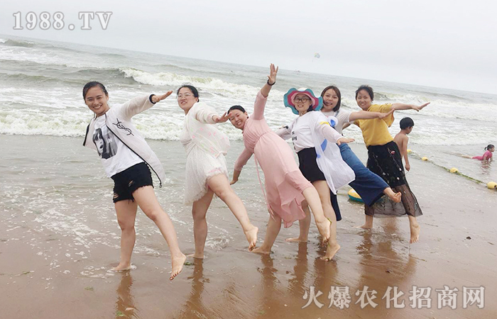青島旅行感悟和成長