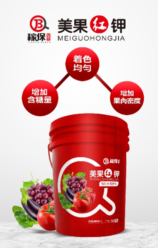 【挪威藍(lán)望】祝全國朋友工作順利,步步高升!