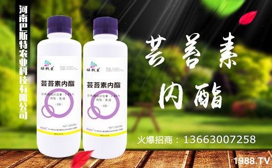 【河南巴斯特】祝大家2018年天天好運到,日日福星照!