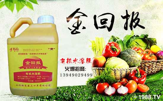 【金回報(bào)農(nóng)業(yè)】祝大家在新的一年里身體健康!心想事成!萬(wàn)事如意!
