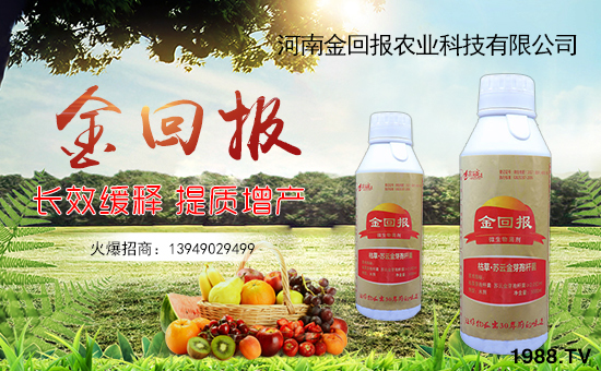 【金回報(bào)農(nóng)業(yè)】祝大家在新的一年里身體健康!心想事成!萬(wàn)事如意!