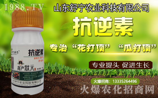 【舒寧農(nóng)業(yè)】所有新老客戶新春快樂(lè),福壽安康!