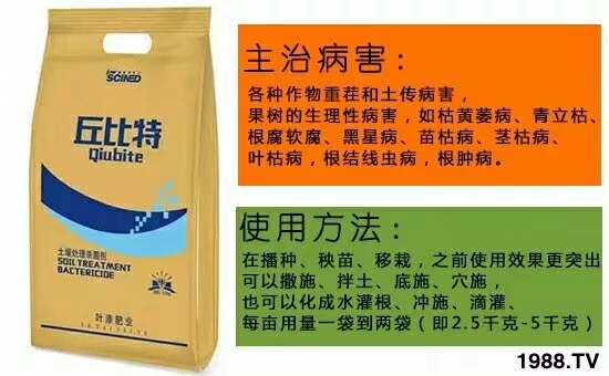 【施能達】恭祝大家身體健康、闔家幸福、豬年大吉!