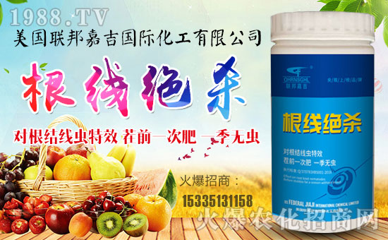 【聯(lián)邦嘉吉】祝大家在新的一年里心想事成,萬(wàn)事如意!