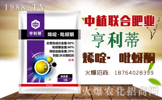【中植聯(lián)合】祝新老朋友新年快樂(lè),萬(wàn)事如意!