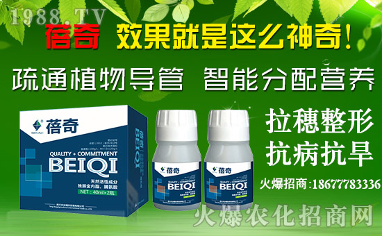 【騰豐農(nóng)業(yè)】祝大家在新的一年里財(cái)源滾滾,生意興!