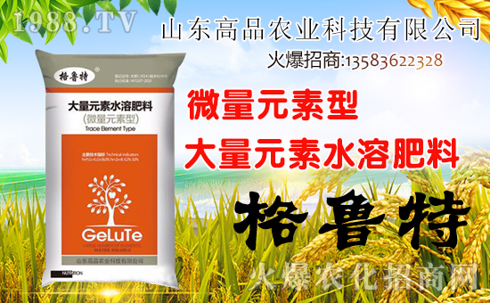 【山東高品】給大家拜年啦!祝您財源廣進,心想事成,萬事如意!