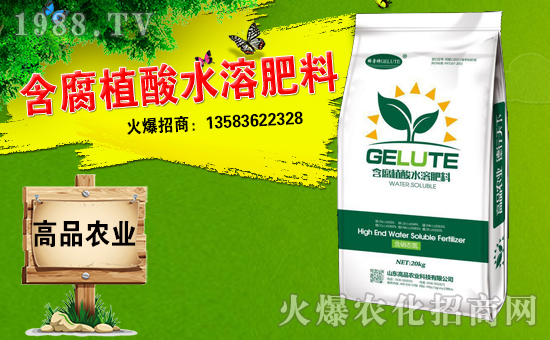 【山東高品】給大家拜年啦!祝您財源廣進,心想事成,萬事如意!
