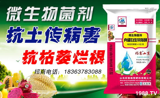 【山東好客】祝新老朋友身體健康,萬事如意!