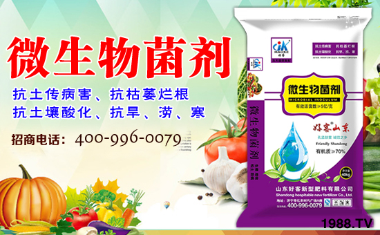 【山東好客】祝新老朋友身體健康,萬事如意!
