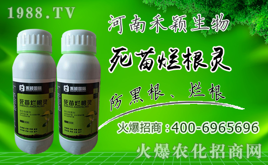 【禾穎生物】祝大家在新的一年里生意興隆,萬事如意!