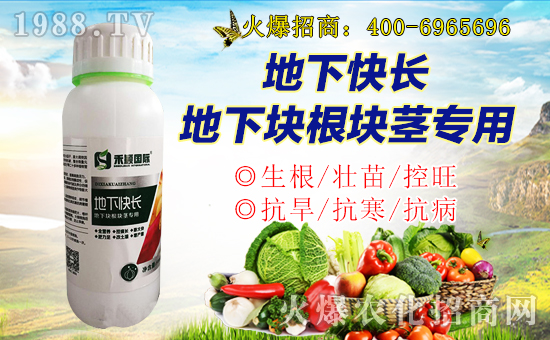 【禾穎生物】祝大家在新的一年里生意興隆,萬事如意!