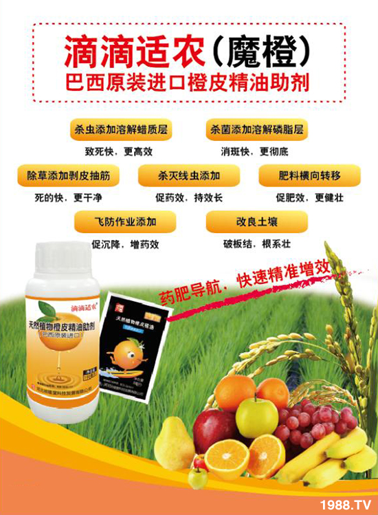 【河北禎禧堂】恭祝大家新年新氣象,豬年行大運!