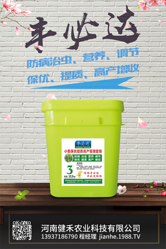 陽臺上能種植上海青嗎?該注意什么?陽臺上種植上海青的注意事項