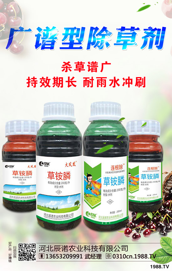 柑橘為什么不長個?促進柑橘長個的措施有哪些?