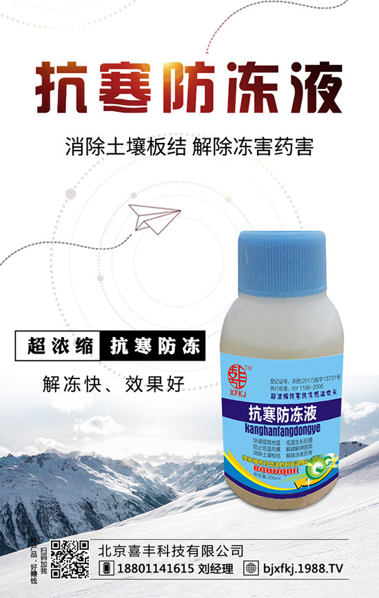 雪菜該怎么種植,雪菜的種植要點!