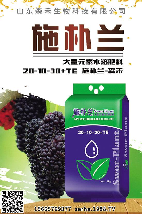 小白菜該怎么播種?秋茬小白菜高產(chǎn)栽培技術(shù)