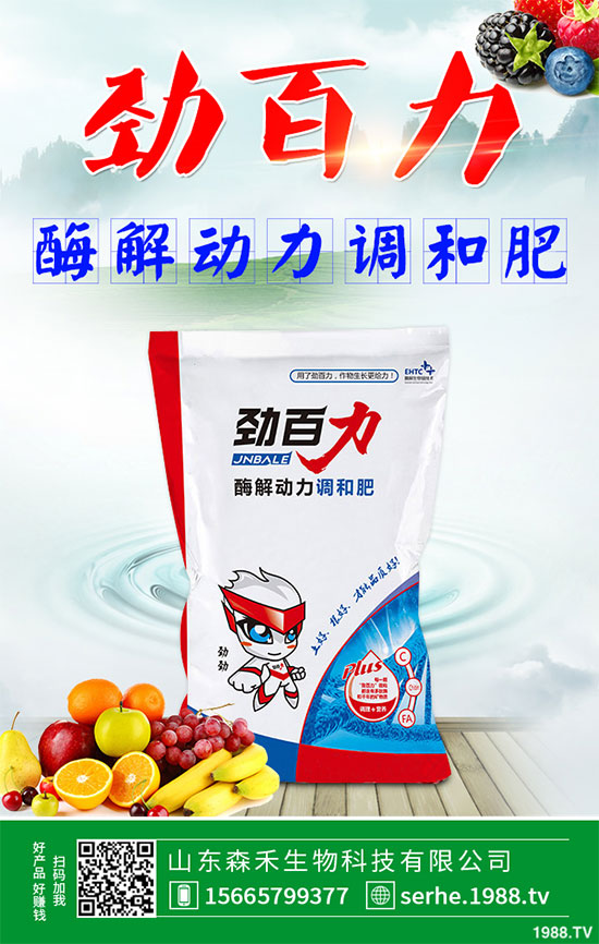 小白菜該怎么播種?秋茬小白菜高產(chǎn)栽培技術(shù)