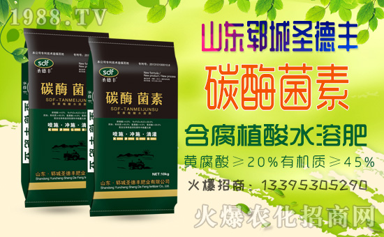 金秋十月!1988.TV喜迎新盟友!山東鄆城圣德豐強勢來襲!