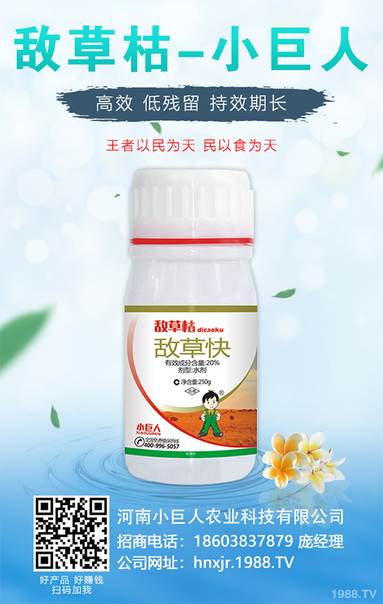 金銀花的種植技術(shù)?2020年金銀花種植前景分析