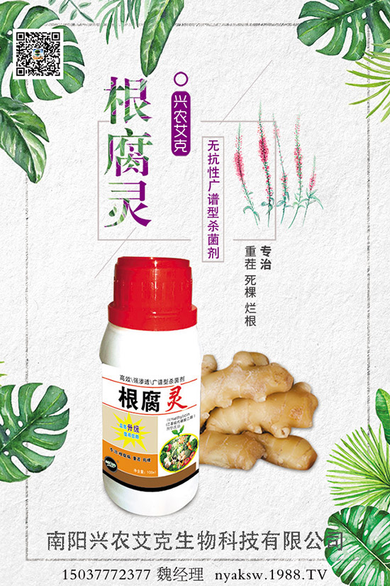 石榴樹能和哪些樹木嫁接,石榴樹的嫁接方法!
