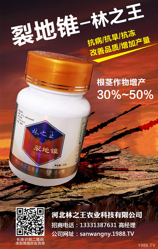 ѹôѹδʩ