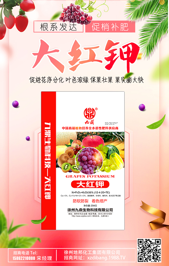 徐州地邦化工集團有限公司1