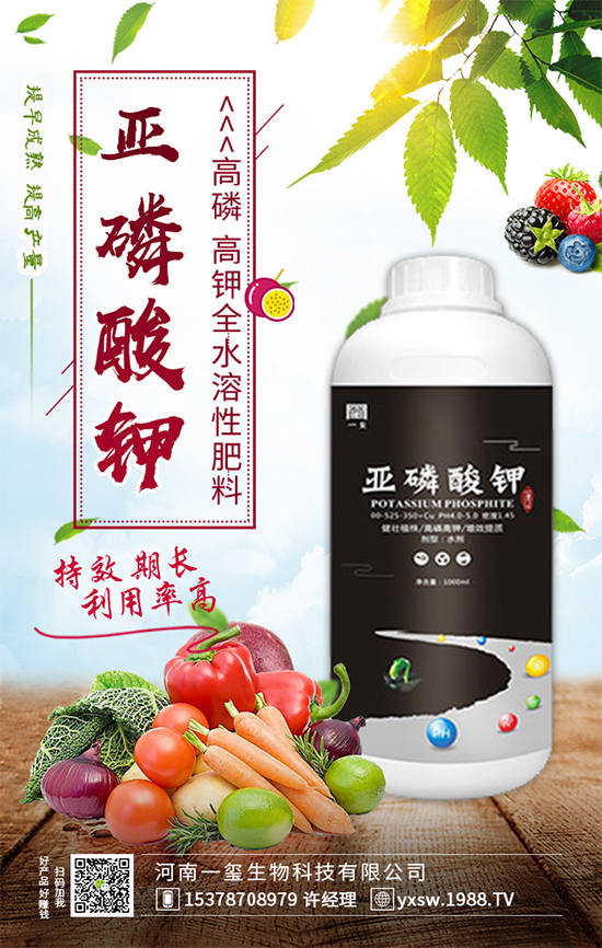黃瓜畸形有哪幾種?黃瓜尖嘴瓜發(fā)生原因及預防措施!