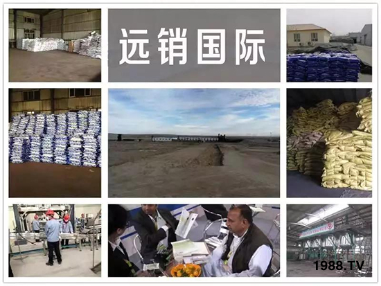 礦源黃腐酸鉀——精品肥!1公斤=8噸有機(jī)肥!新疆源頭直發(fā)。!