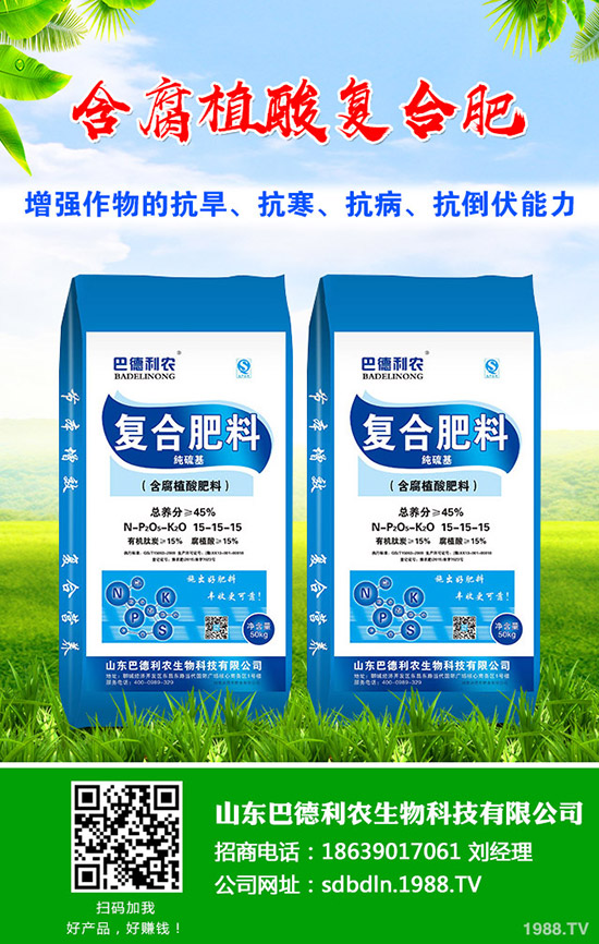 十二月適合花卉種植花卉!冬天養(yǎng)殖的花卉有哪些?