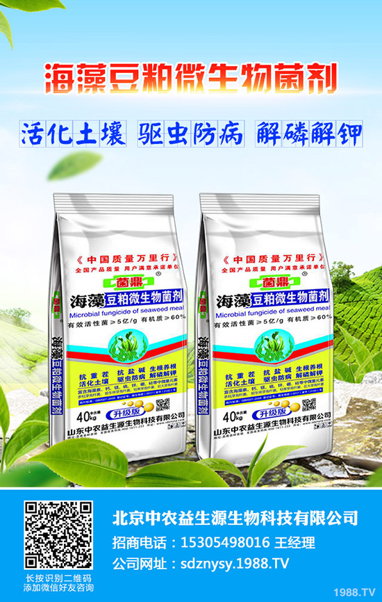 2020年農(nóng)村適合種植什么果樹?更賺錢效益高!品種推薦了解一下!