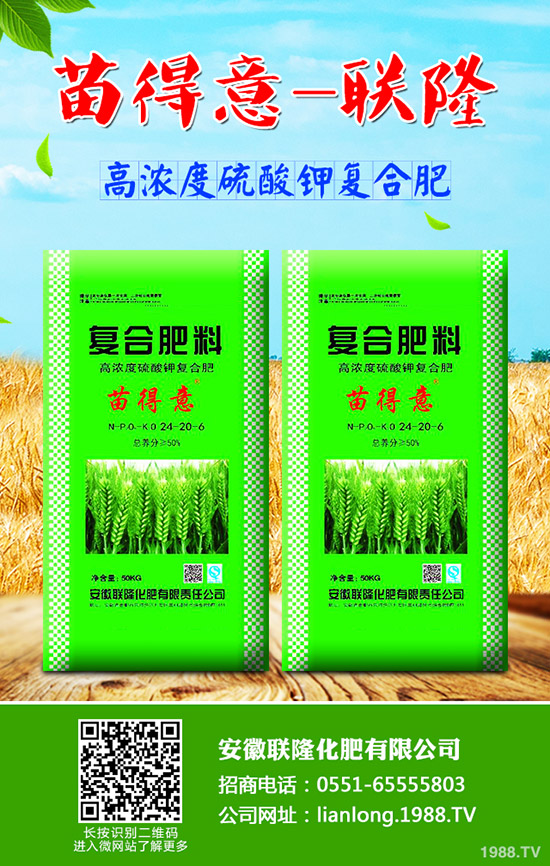 吃牛蒡?qū)ι眢w有什么好處?牛蒡的營養(yǎng)價值及功效!