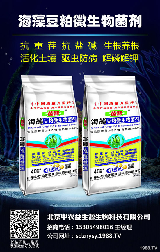 2020年水稻種植怎么樣?賺錢嗎?包多少畝合適?一畝種植成本多少?