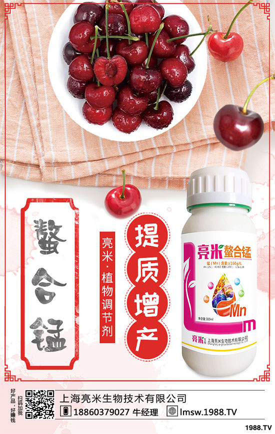 黃秋葵有哪些營養(yǎng)價值?黃秋葵高產(chǎn)栽培技術