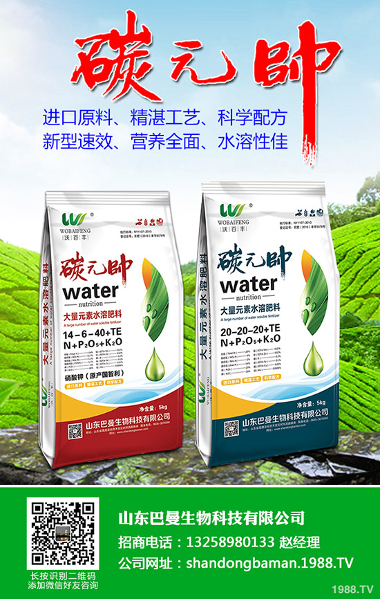 2020年種植什么蔬菜比較好?賺錢有前景!種植品種推薦!