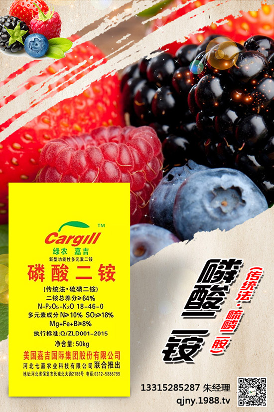 小茴香什么季節(jié)播種?有哪些種植技巧?