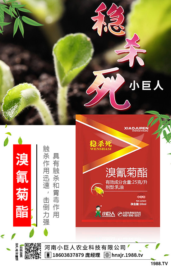 吃苦瓜對(duì)人體有什么好處?苦瓜的功效與作用有哪些?