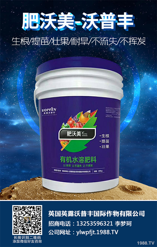 長期低溫寡照,蔬菜長勢差該如何解決?冬季大棚補(bǔ)光的幾項(xiàng)措施