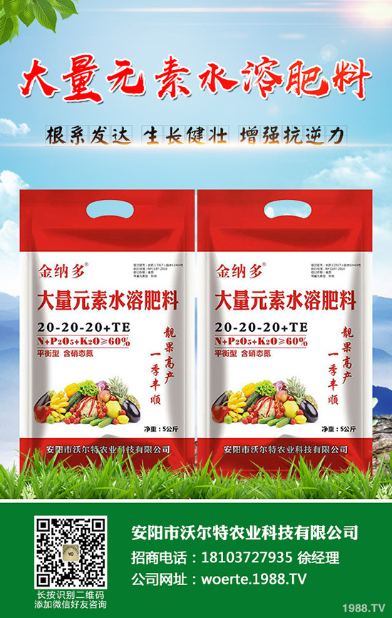 龍眼怎么種,龍眼種植要求有哪些?