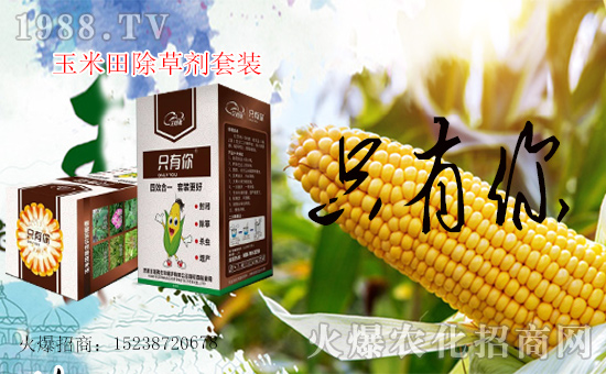 1988.TV喜迎新盟友,艾格弗作物保護開啟網(wǎng)絡(luò)招商新征程!