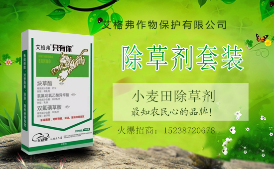 1988.TV喜迎新盟友,艾格弗作物保護開啟網(wǎng)絡(luò)招商新征程!