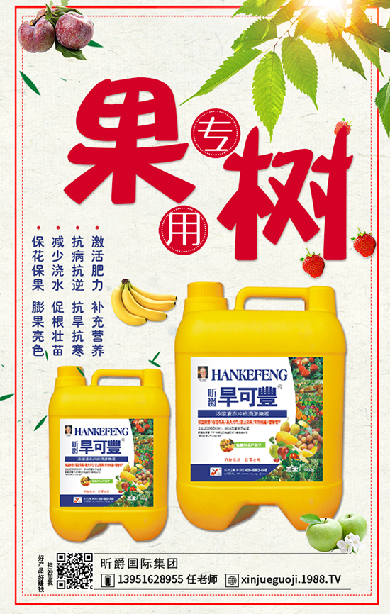 昕爵國際集團