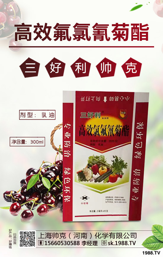 蒜黃一般是什么時間播種,蒜黃的種植技巧有哪些?