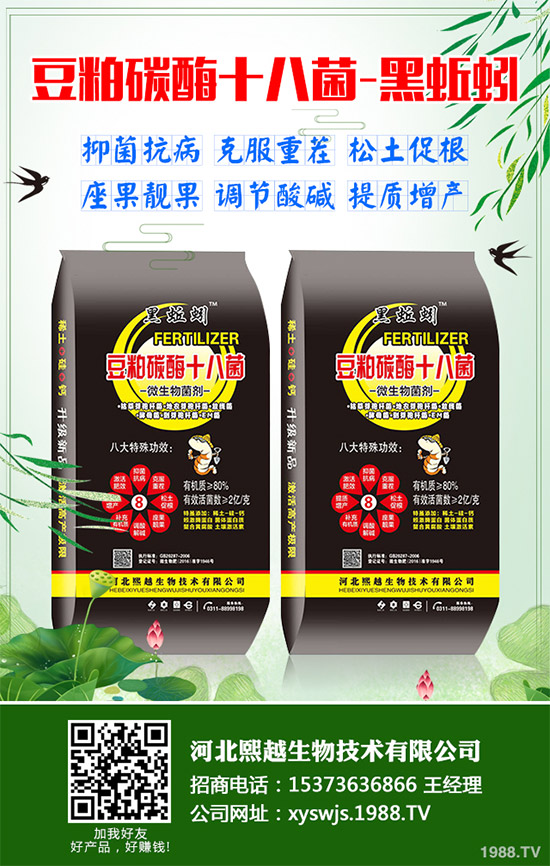 大棚韭菜該怎么種?冬季大棚韭菜種植技術(shù)要點(diǎn)