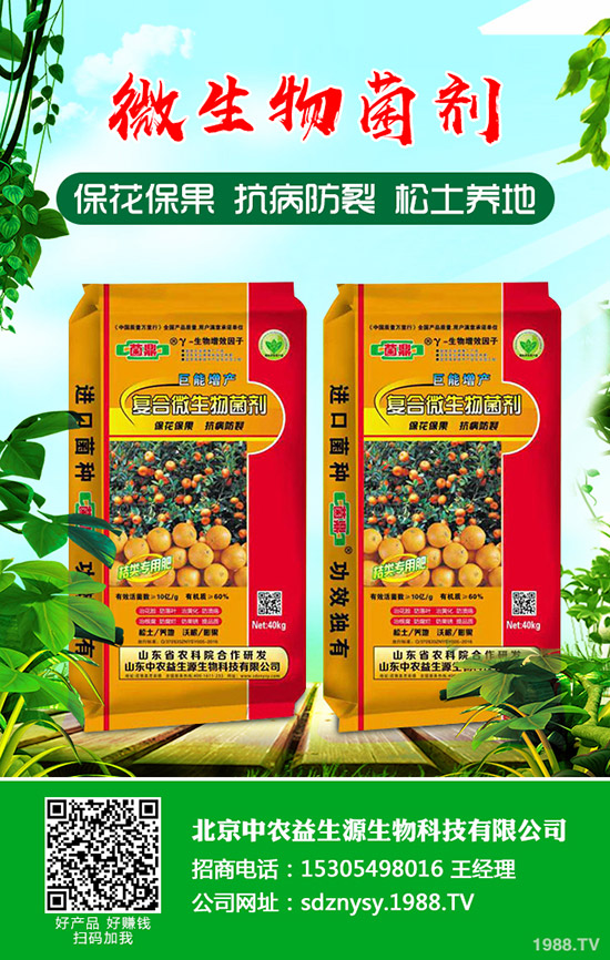 二銨冬儲何時打破僵局!2019-12-13磷酸二銨行情走勢預測!