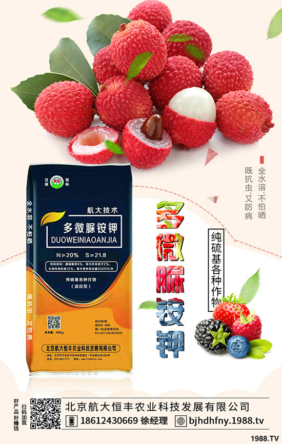 茄子早衰是什么原因?哪些方法能夠預防茄子早衰?
