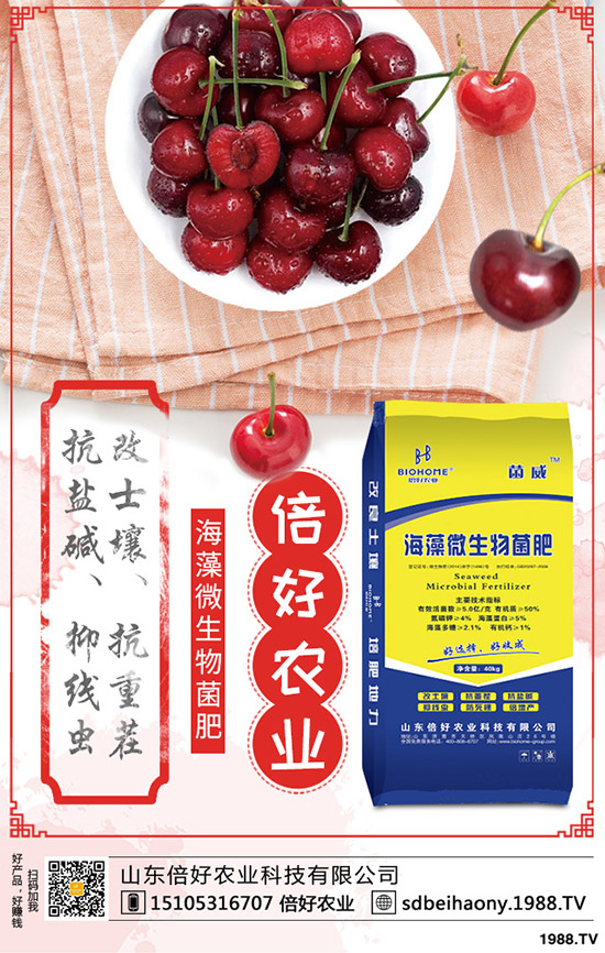 尿素價格漲價未停!12月14日各地區(qū)尿素主流出廠報價一覽!