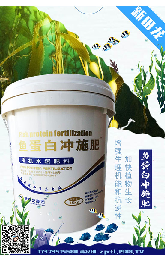 2020年龍膽草種植前景,龍膽草的繁殖技術!