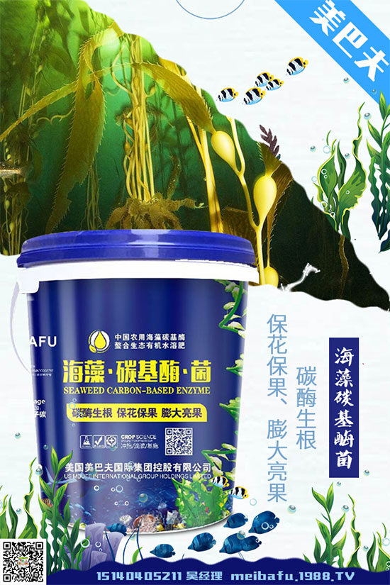 貢菊花該如何選購?貢菊花的常見用法