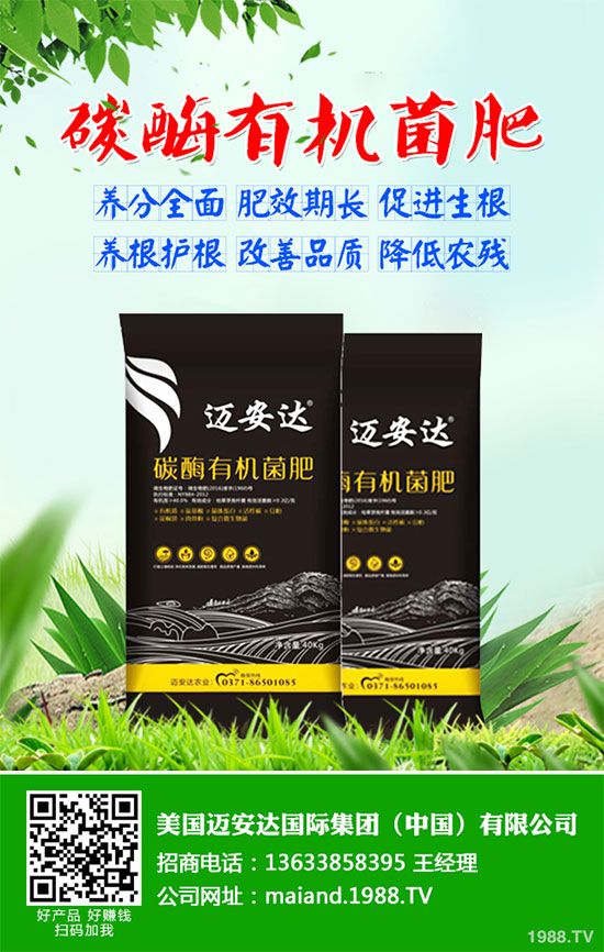 貢菊花該如何選購?貢菊花的常見用法